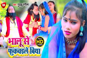 Guddu Rangila Image