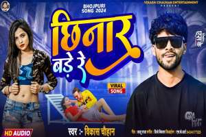 Vikash Chauhan Image