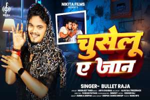 Bullet Raja Image
