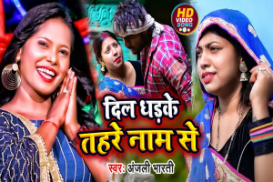 Anjali Bharti Image