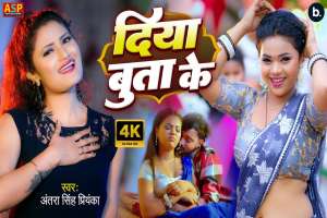Antra Singh Priyanka Image