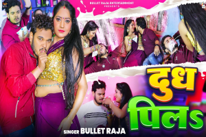 Bullet Raja Image