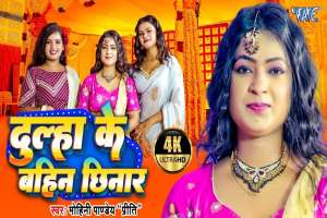 Bhojpuri Songs