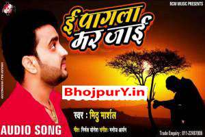 Bhojpuri Songs