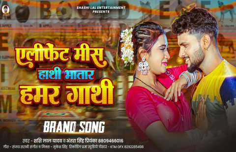 Bhojpuri Songs
