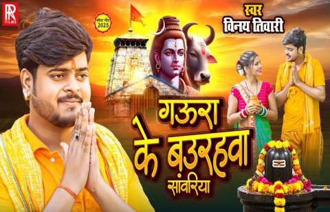 Vinay Tiwari Image