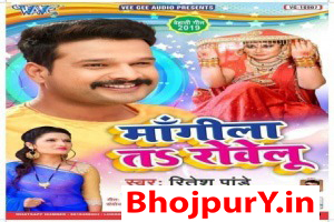 Hamar Dine Ke Batoral Rate Jhar lelu Ho