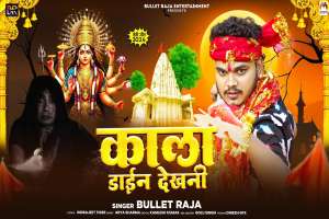 Bullet Raja Image