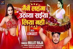Bullet Raja Image