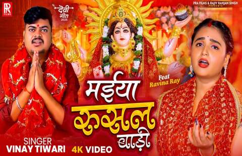 Vinay Tiwari Image