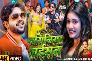 Bhojpuri Songs