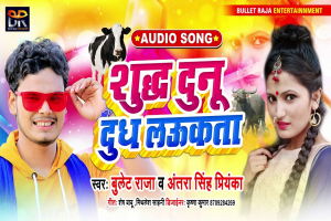 Bullet Raja Image
