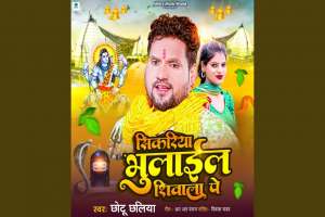 Chhotu Chhaliya Image