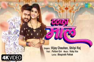 Vijay Chauhan Image